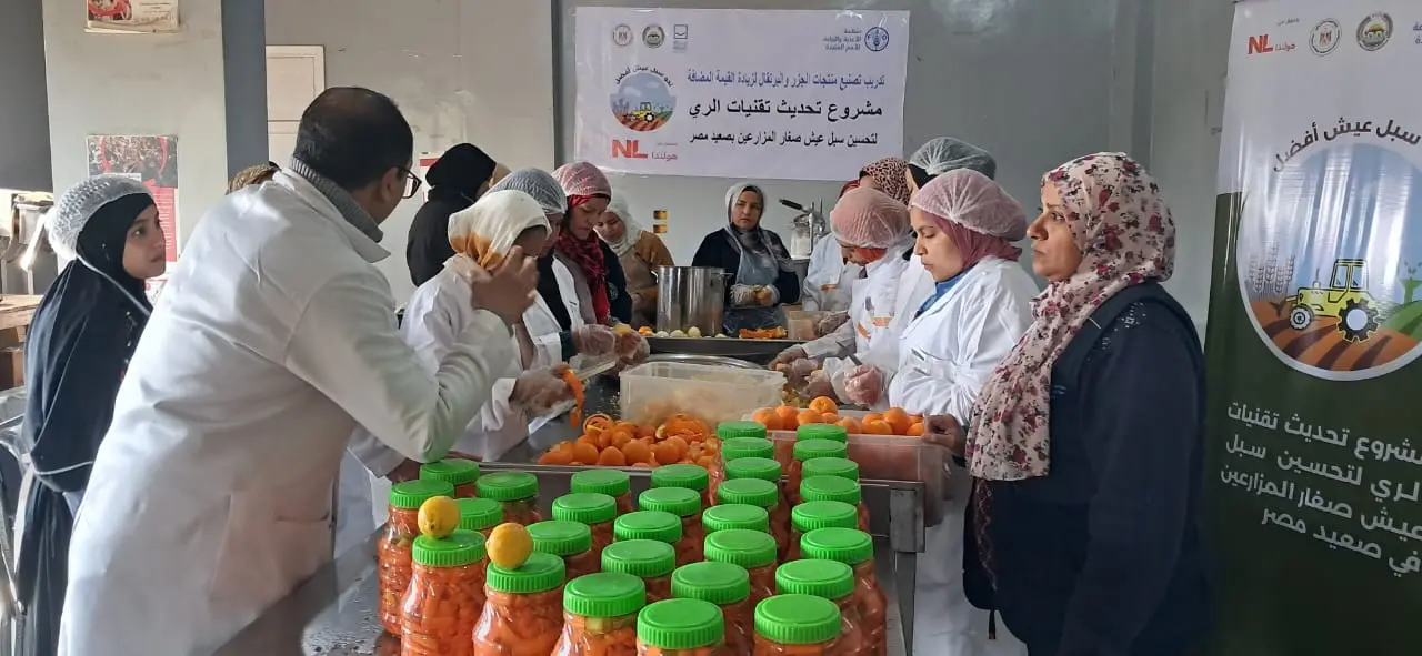 Production Units and Agricultural Manufacturing
